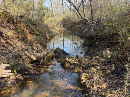 Land for sale in Lincoln County, Georgia