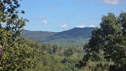 Land for sale in Gordon County, Georgia