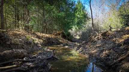 Land for sale in Milam County, Texas