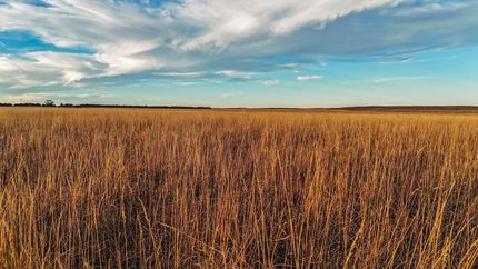 Recreational Property for sale in Phillips County, Colorado