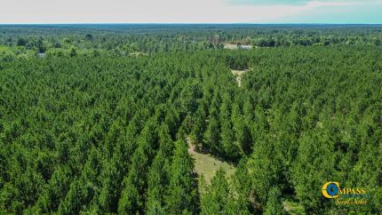 Land for sale in Marion County, Georgia