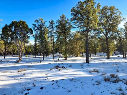 Land for sale in Cibola County, New Mexico