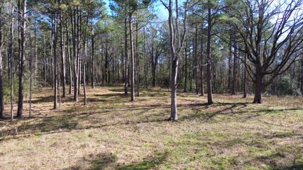 Commercial Property in Houston County, Texas
