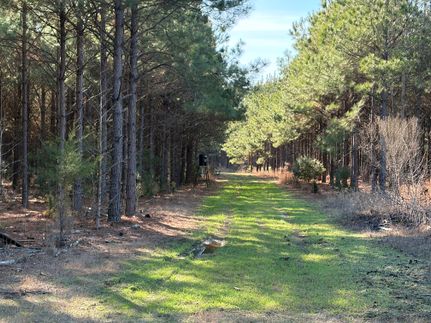 Land for sale in Cass County, Texas