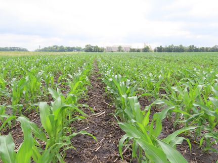 Land for sale in Swift County, Minnesota