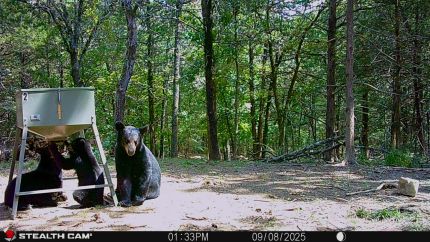 Land for sale in Latimer County, Oklahoma