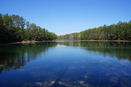 Land for sale in Conecuh County, Alabama