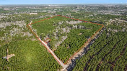 Land for sale in Polk County, Texas