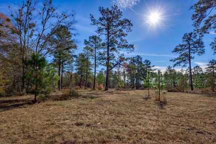 Timberland Property for sale in Dillon County, South Carolina