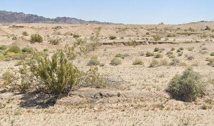 Farm and Ranch for sale in Riverside County, California