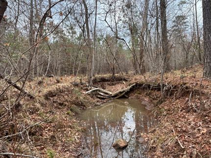 Timberland Property for sale in Montgomery County, North Carolina