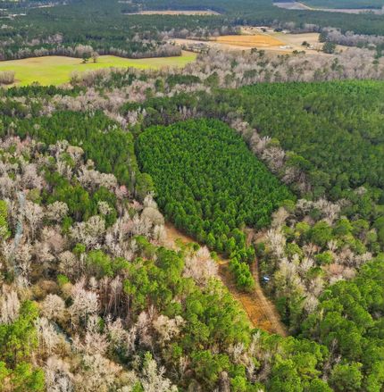 Farm and Ranch for sale in Georgetown County, South Carolina