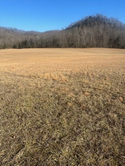 Land for sale in Cumberland County, Kentucky