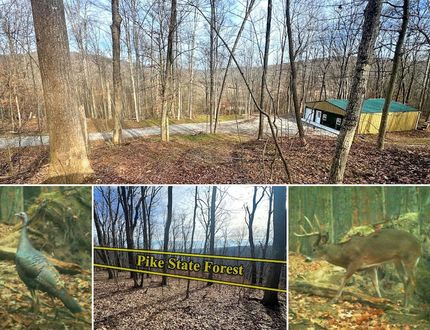Land for sale in Pike County, Ohio