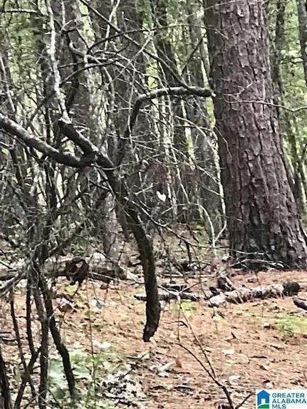 Homesite for sale in Talladega County, Alabama