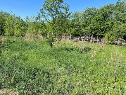 Homesite for sale in Williamson County, Texas