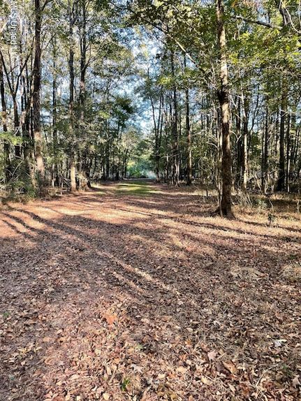 Undeveloped Land for sale in Hinds County, Mississippi