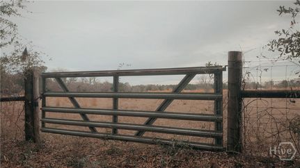 Land for sale in Brantley County, Georgia