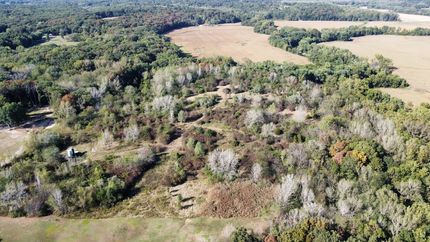 Undeveloped Land for sale in Effingham County, Illinois