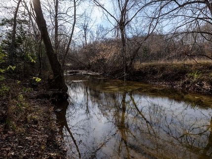 Undeveloped Land for sale in Polk County, Missouri