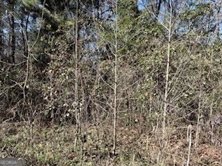 Undeveloped Land for sale in Liberty County, Georgia