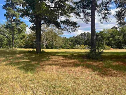 Land for sale in Covington County, Alabama
