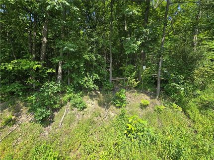 Undeveloped Land for sale in Yates County, New York