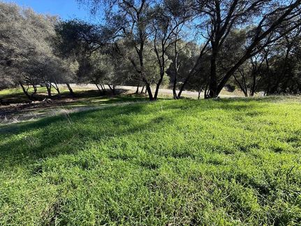 Undeveloped Land for sale in Amador County, California