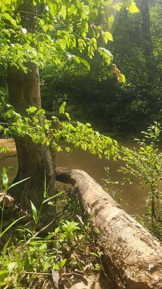 Land for sale in Pittsylvania County, Virginia