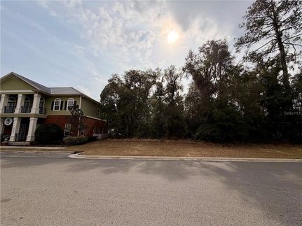 Undeveloped Land for sale in Alachua County, Florida