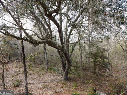 Land for sale in Bryan County, Georgia