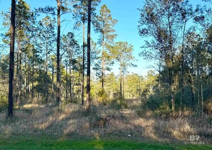 Land for sale in Baldwin County, Alabama