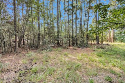 Undeveloped Land for sale in Montgomery County, Texas