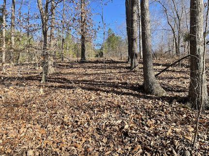 Land for sale in Stewart County, Tennessee