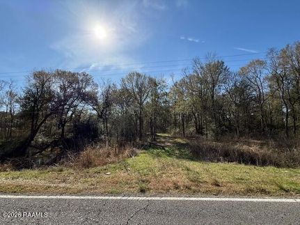Undeveloped Land for sale in Saint Landry Parish, Louisiana