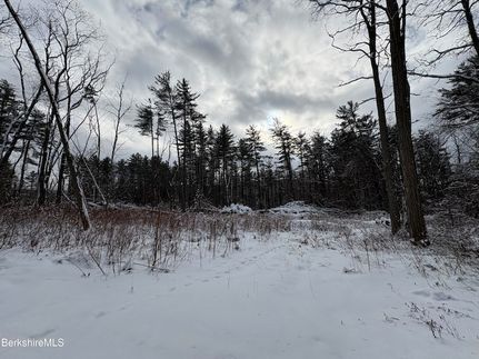 Undeveloped Land for sale in Berkshire County, Massachusetts