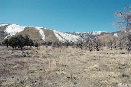 Undeveloped Land for sale in Douglas County, Nevada