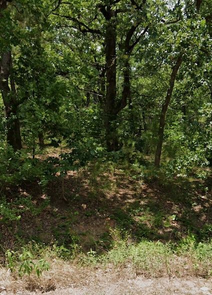 Homesite for sale in Henderson County, Texas
