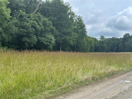 Undeveloped Land for sale in Pope County, Illinois