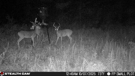 Hunting Property for sale in Franklin County, Mississippi