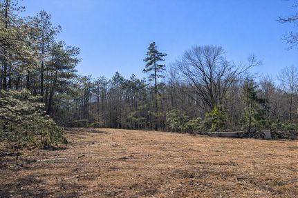Land for sale in McNairy County, Tennessee