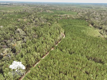 Land in Ware County, Georgia
