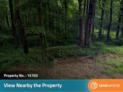 Timberland Property for sale in Dawson County, Georgia
