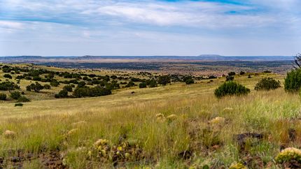 Farm and Ranch for sale in Apache County, Arizona