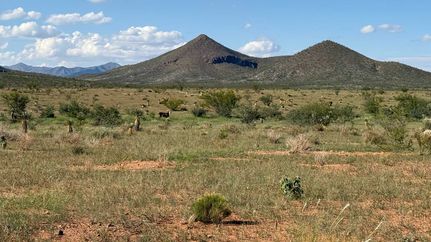 Farm and Ranch for sale in Cochise County, Arizona