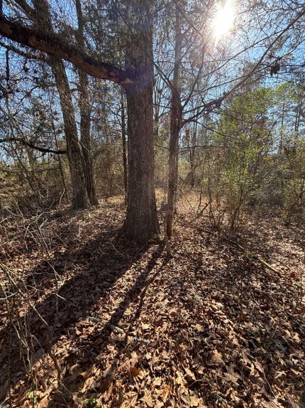 Recreational Property for sale in McCurtain County, Oklahoma