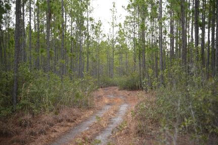 Recreational Property for sale in Charlton County, Georgia