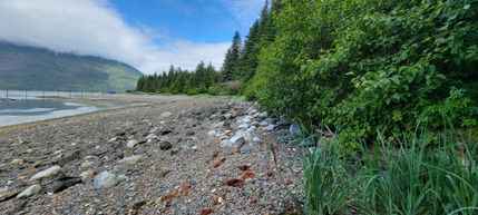 Waterfront Property for sale in Haines Borough, Alaska