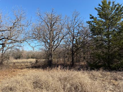 Land for sale in Montague County, Texas