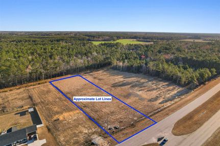 Timberland Property for sale in Horry County, South Carolina